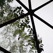 4I9A0980 (1).jpeg