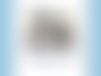 2025년 12월 주간뉴스레터 