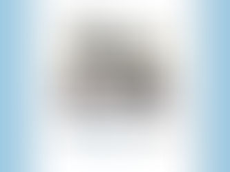 2025년 11월 주간뉴스레터