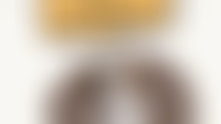 Tudo o que Você Precisa Saber sobre Gatos e suas Raças 🐱✨