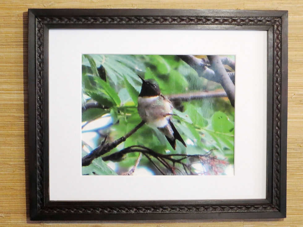 Thumbnail: #1 - 11"x 14"  Leatherwood Picture Frame