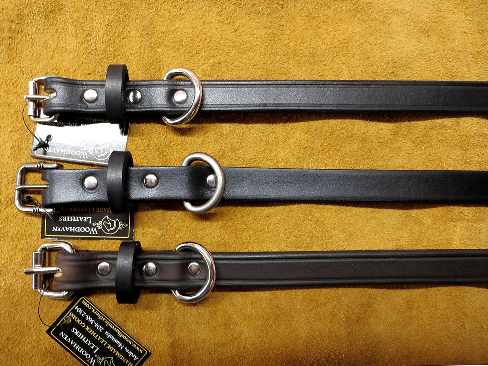 Thumbnail: Plain Dog Collars