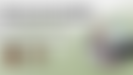 Train the Trainer Workshop in January