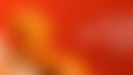 Lunar New Year and the Year of the Fire Horse