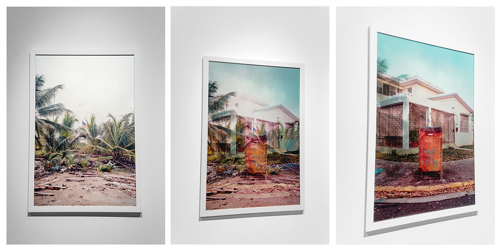 Three framed images on a wall. Left: palm trees and debris. Middle: lenticular photo shifting. Right: a house, palm trees, and a red sign with faded graffiti. Calm mood.