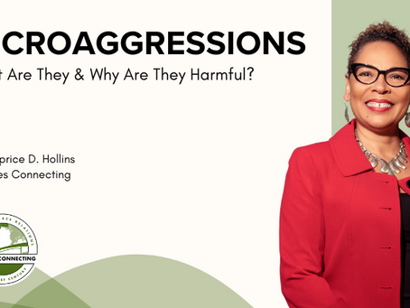 Preview of our Racial Microaggressions E-Course