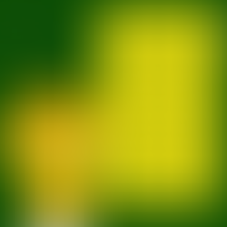 Conhecendo o mundo Atípico _4