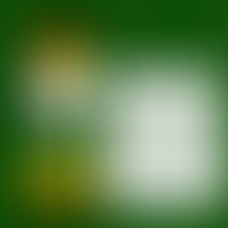 Conhecendo o mundo Atípico _5