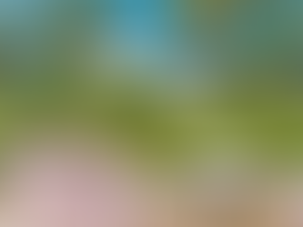 5 Bahamian Island Hopping Day Trips from New Providence