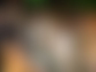 Savour Bahamas Announces New Cafe and Expanded Commercial Kitchen