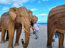 Experience The Great Elephant Migration at Miami Art Week 2024