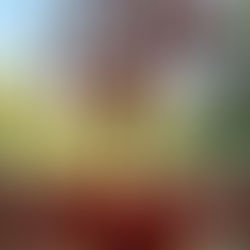 BRUNCH FINDS: A Chinese New Year Dim Sum Brunch at Shuang Ba (VIDEO HIGHLIGHT)