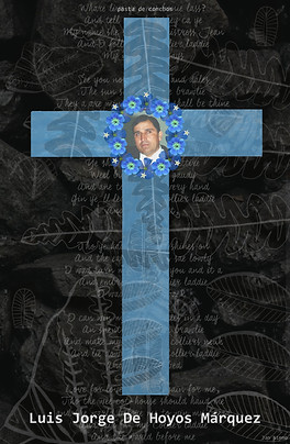 LUIS JORGE DE HOYOS MÁRQUEZ.jpg