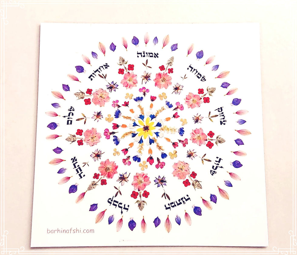 תמונה ממוזערת: מגנטים מאירים