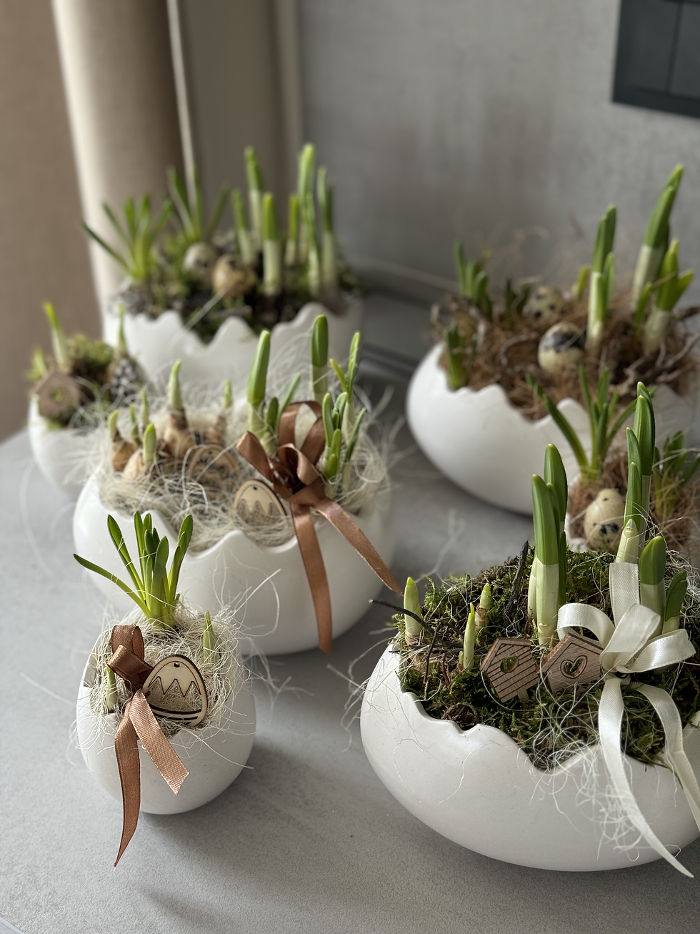 Miniatura: Jarní skořápka s cibulovinami velká