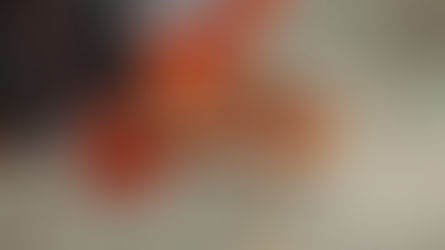 FASTWAY ADVENTURE FOOTPEGS