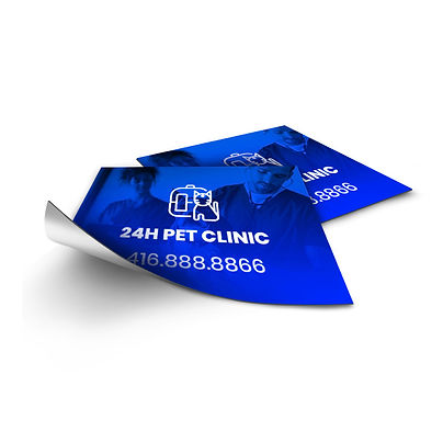 Flyers 100lb Gloss Text