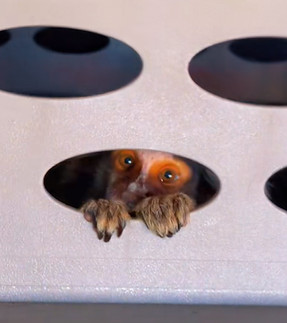 972A2E1E-CF33-4C65-B4D4-0540BBA2E4E0_L0_001-12_18_2024, 7_05_38 PM.jpg