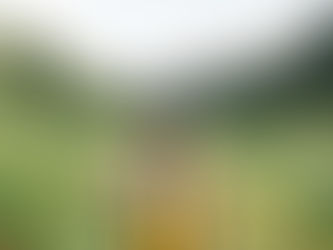 Best Places for Fall Hikes and Scenic Walks in Boise and the Treasure Valley