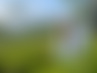 Tea Tourism in Dooars: Tea Estate Stays & Tours