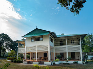 Why Visit a Tea Resort in West Bengal | Octavius Tea Resorts