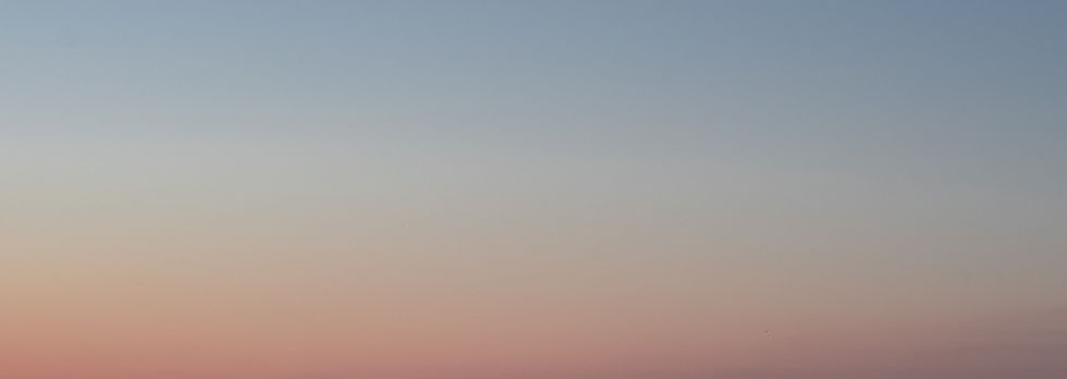 Starlings Monthly Skill Building Sessions: Journey through TIC to Rights to Research to Hope