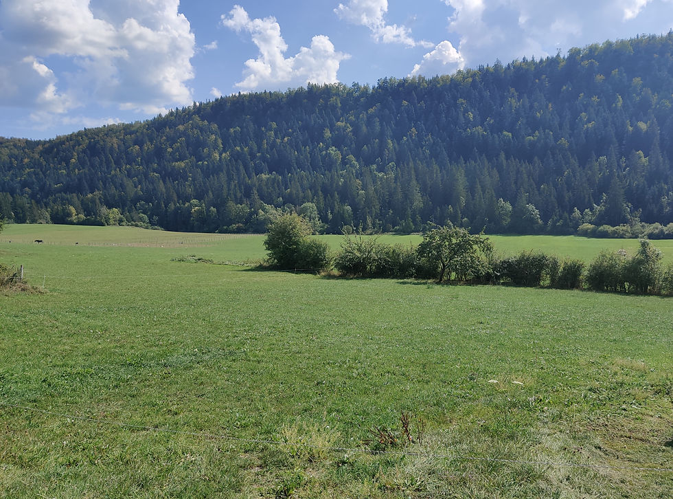 Miniature : Terain ENTRE-DEUX-MONTS