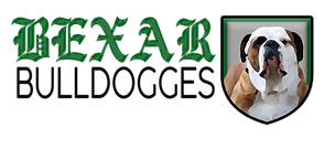 bexar Bulldogges_logo.png