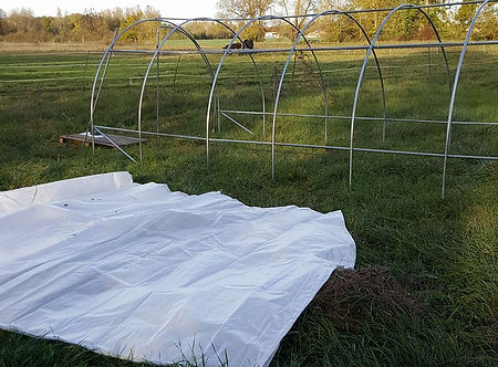 Le montage de notre serre à plants