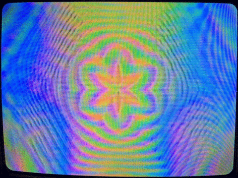 giphy-4.gif