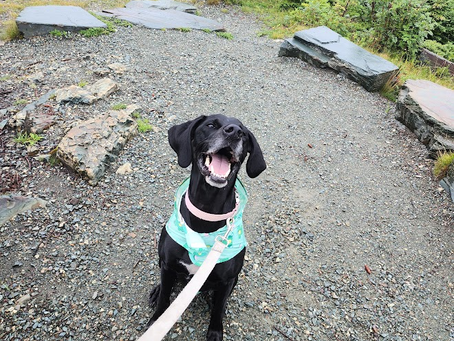 A New Found Me in Newfoundland