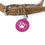 Thumbnail: Pet Tag - Hot Pink and White
