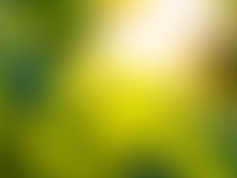 「治そう」とすることを、あきらめた先に。