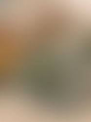 白木の料理です