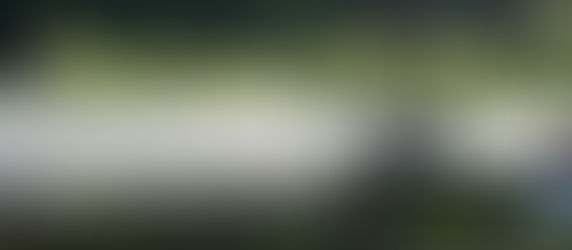 施術はアート、施術は遊び　　　　　～重力と仲良くなれば、体は自然に整い出す〜