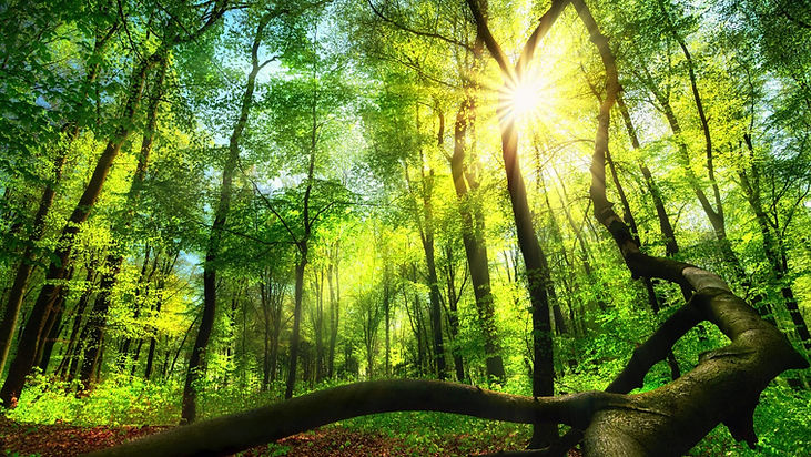 名称未設定のデザイン (2) - frame at 0m1s.jpg