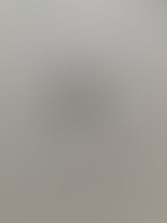 カメムシくん来訪