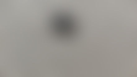 カメムシくん来訪