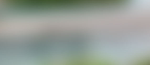 空気が澄んでます