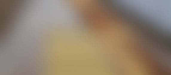 栃木県真岡市のおいしいコシヒカリ。