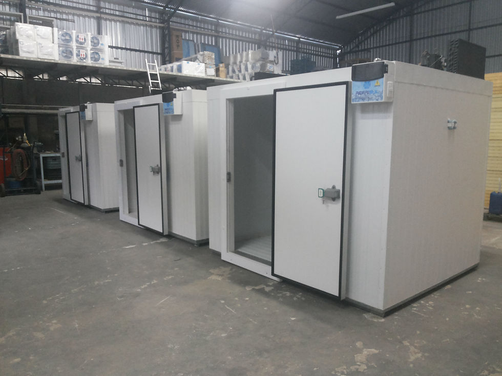 Varios Modelos a pronta entrega.