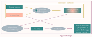 Apprentissage transfert pour la reconnaissance d’essences