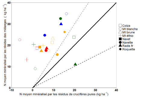 Synthesis diagram pointing out the multilevel effects of ALAN and the challenges of articulating organizational levels for a bottom-up approach of the dark ecological network