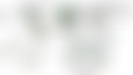 A global assessment of BirdNET performance: Differences among continents, biomes, and species