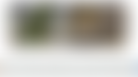 Informative priors contribute to quantifying the occurrence rate of a rare tree-related microhabitat in a managed forest