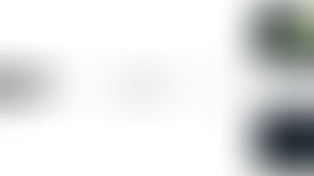 Détection automatique d'événements sonores et productions sonores animalières