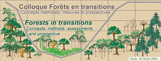 Forêts en transition