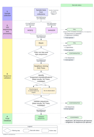 Building a reliable 16S mini-barcode library of wild bees from Occitania, south-west of France