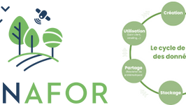 A lire! Publication du PGD simplifié de Dynafor et des 2 chartes de responsabilité environnementale et Science Ouverte