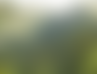 Publication du rapport final du projet OCCIGEN sur la "Caractérisation de la capacité de résilience des forêts anciennes et des vieilles forêts d'Occitanie pour le maintien de la biodiversité" 